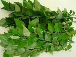 Curry Leaves