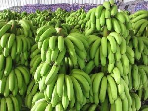 fresh-cavendish-banana