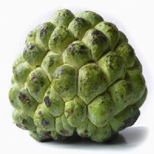 fresh-custard-apple