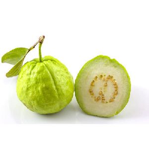 fresh-guava