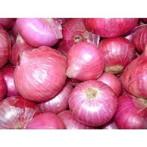 Fresh-Pink-Onion