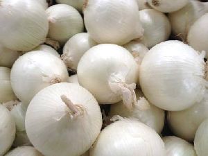 fresh-white-onion